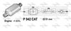 P942CAT.JPG
