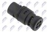 ctm-bm-081_2-wm.JPG
