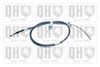 QH_BC3566.JPG