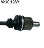 VKJC 1289_3.JPG