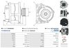 A01006(SEG)_256960.JPG