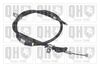 QH_BC3455.JPG