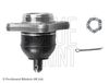 ADC48685_2.JPG