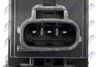 ECZ-MS-025_4-WM.JPG