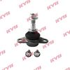 KYB-KBJ4031.JPG