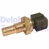 Датчик, температура теплоносія DELPHI TS10244-12B1 (TS10244)
