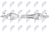 NPW-VV-172_9-WM.PNG