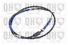 QH_BC3589.JPG