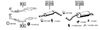 SK210410.BMP