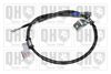 QH_BC4323.JPG