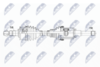 NPW-PL-101_9-WM.PNG