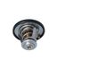 Termostat, chladivo 725174
