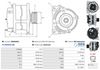 A0890(SEG)_256960.JPG