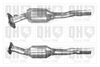 QH_QCAT90264H.JPG