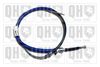 QH_BC3969.JPG