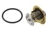 Termostat, chladivo 4820.87D