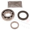 806025.BMP