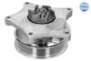 Meyle Water Pump, engine cooling 613 220 0016