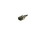 Bosch Sensor, intake air temperature 0281006304