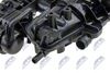bks-vw-014_7-wm.JPG