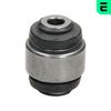 тампон, носач