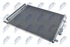 CCS-HY-026_2-WM.JPG