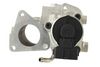 HELLA EGR Valve 6NU 014 864-111