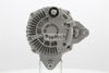 IR7499 (11).JPG