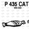 P435CAT.JPG