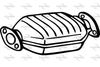 P665CAT.JPG