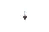 Bosch Bulb, spotlight 1 987 301 132