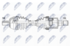 NPW-FR-155_9-WM.PNG