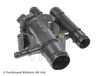 ADN19231C_3.JPG