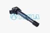 CL556A.BMP