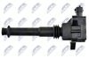 ECZ-FT-012_3-WM.JPG
