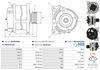 A01433(SEG)_256960.JPG