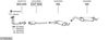 SYS00363.JPG
