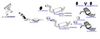 OP-EXSVG048_20260529081313.JPG