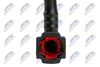 BPP-CT-011_4-WM.JPG
