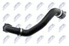 CPP-BM-019_2-WM.JPG