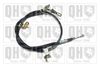 QH_BC3413.JPG