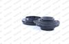 MK335L_2981463.JPG