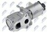 EGR-TY-003_2-WM.JPG