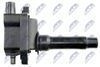 ECZ-KA-310_3-WM.JPG