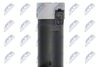 ECZ-RE-005_4-WM.JPG