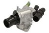 Термостат, що охолоджує рідину THERMOTEC D2F006TT