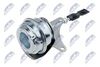 ecd-vw-020_1-wm.JPG