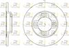 6031-00-MODEL.BMP