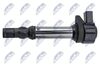 ECZ-BM-006_3-WM.JPG