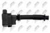 ECZ-FT-003_3-WM.JPG